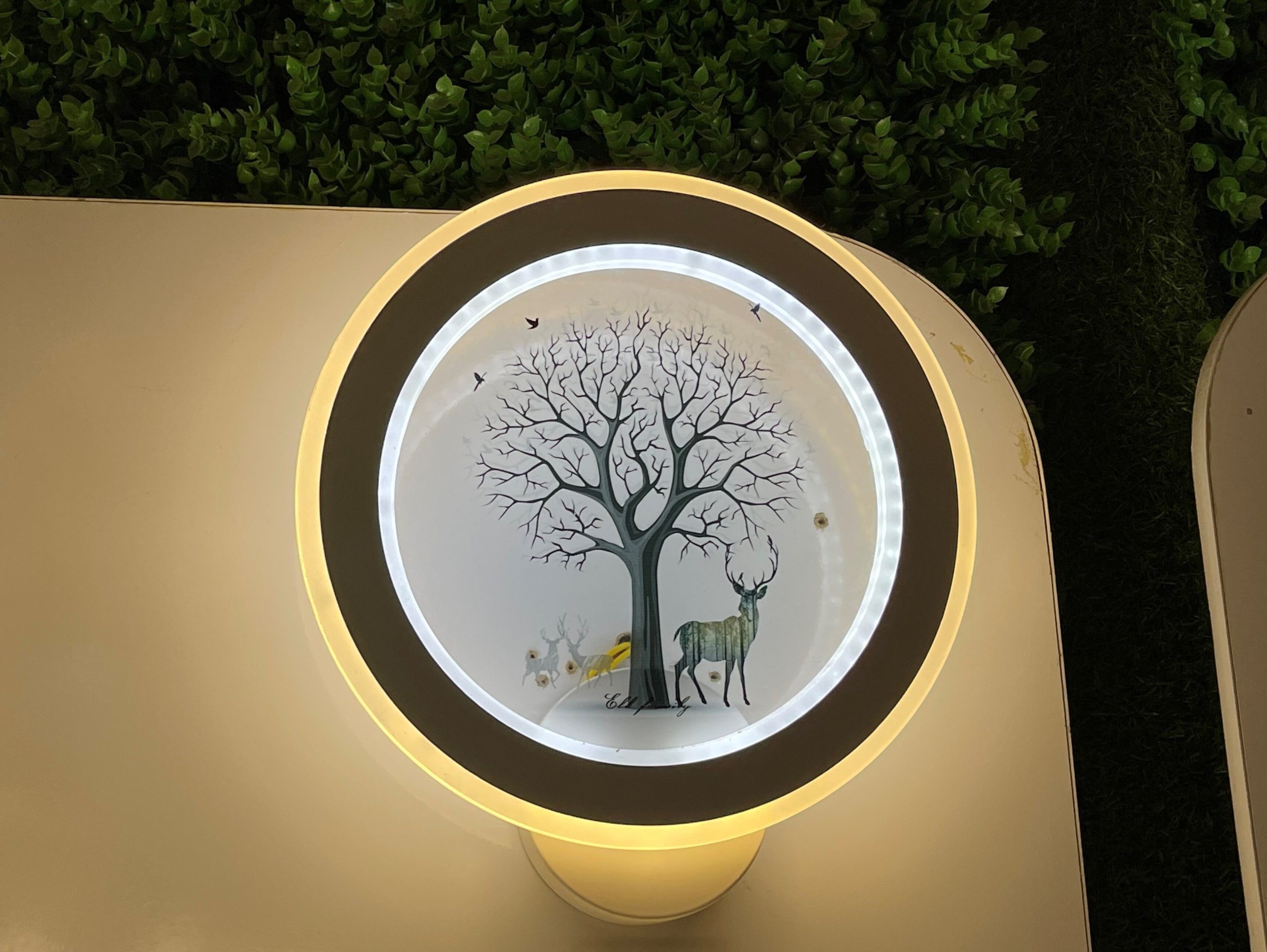 z4424725017267_644a7a46af45fc02abc2f5d6e63cbaf1