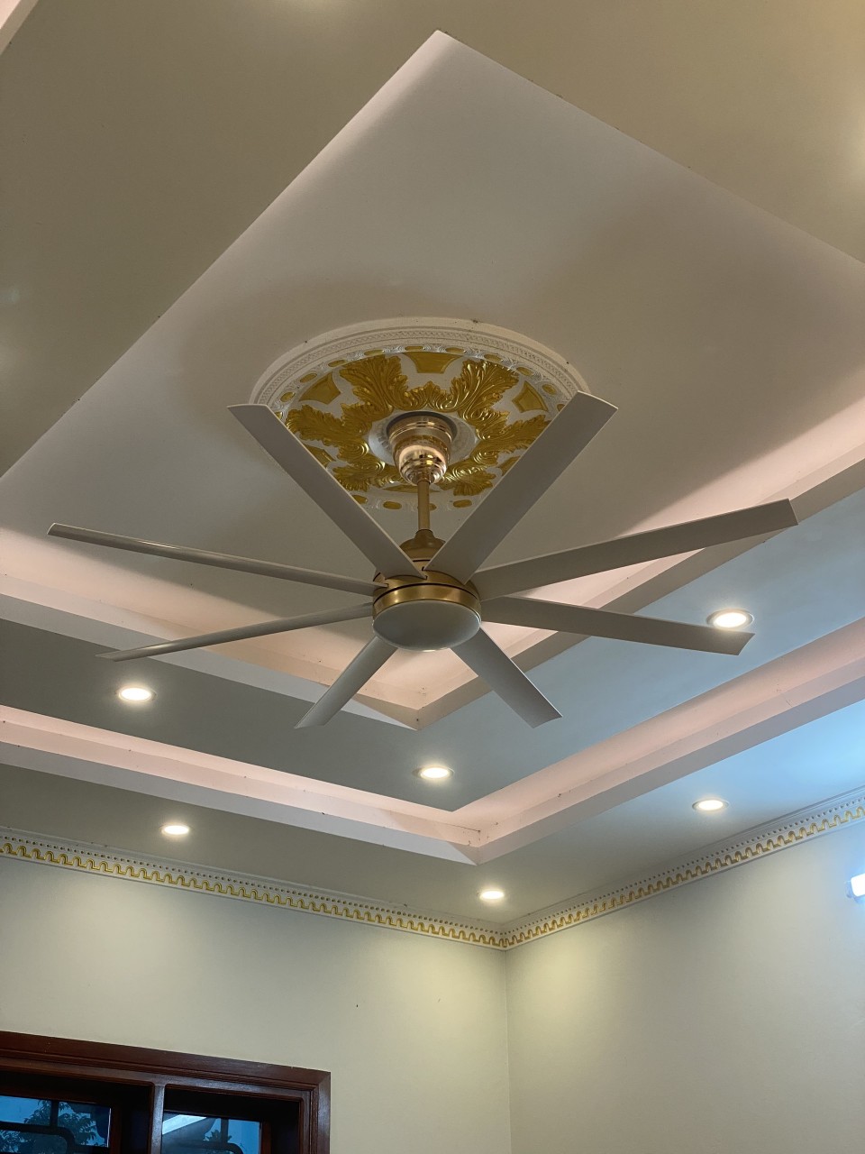 z5262849438900_f02b02fc010007797fd486c0605e07ae