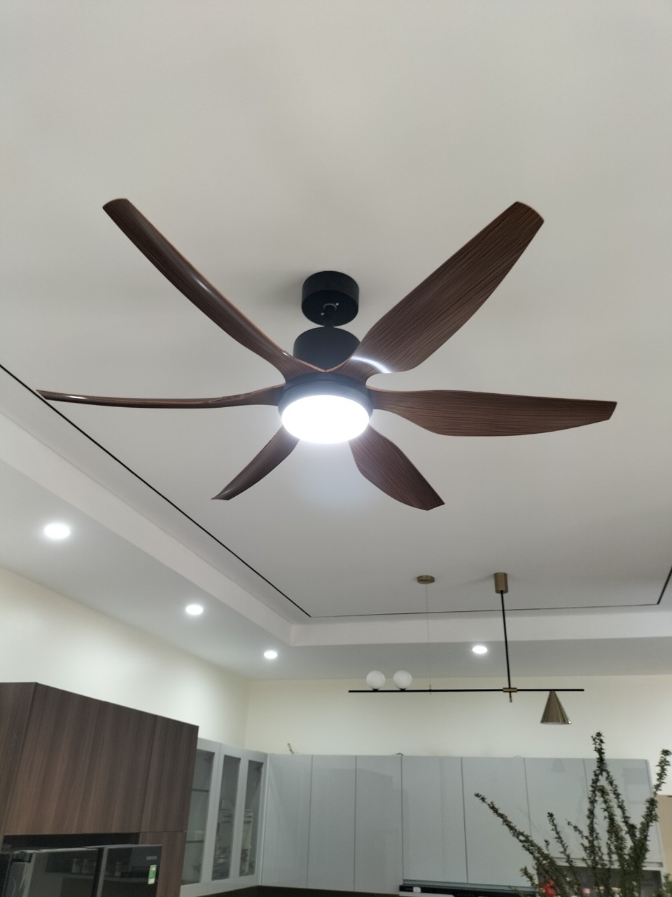 z5262849442640_df19e7fdcc1207896fb651dc5f293b5b