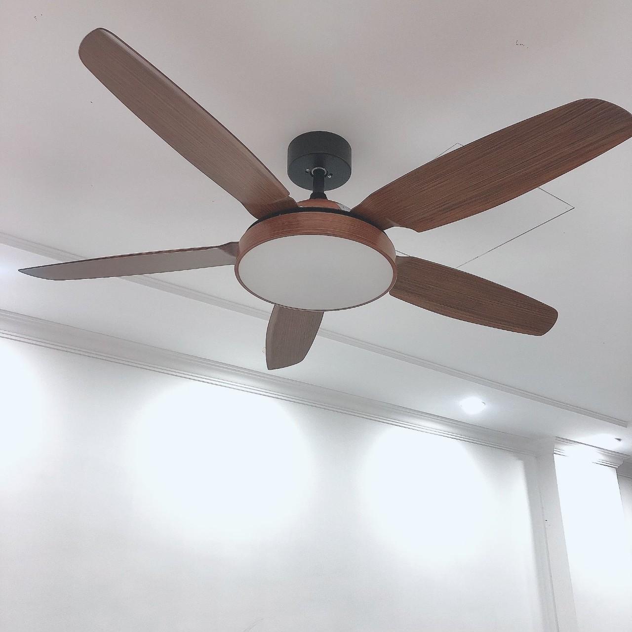 z5262849449479_cc2f6ed4325684e560f9060939467cc9