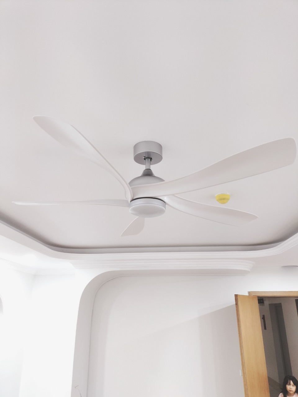 z5262849463517_dc7b920af308af268c8a7d60a53ae82a