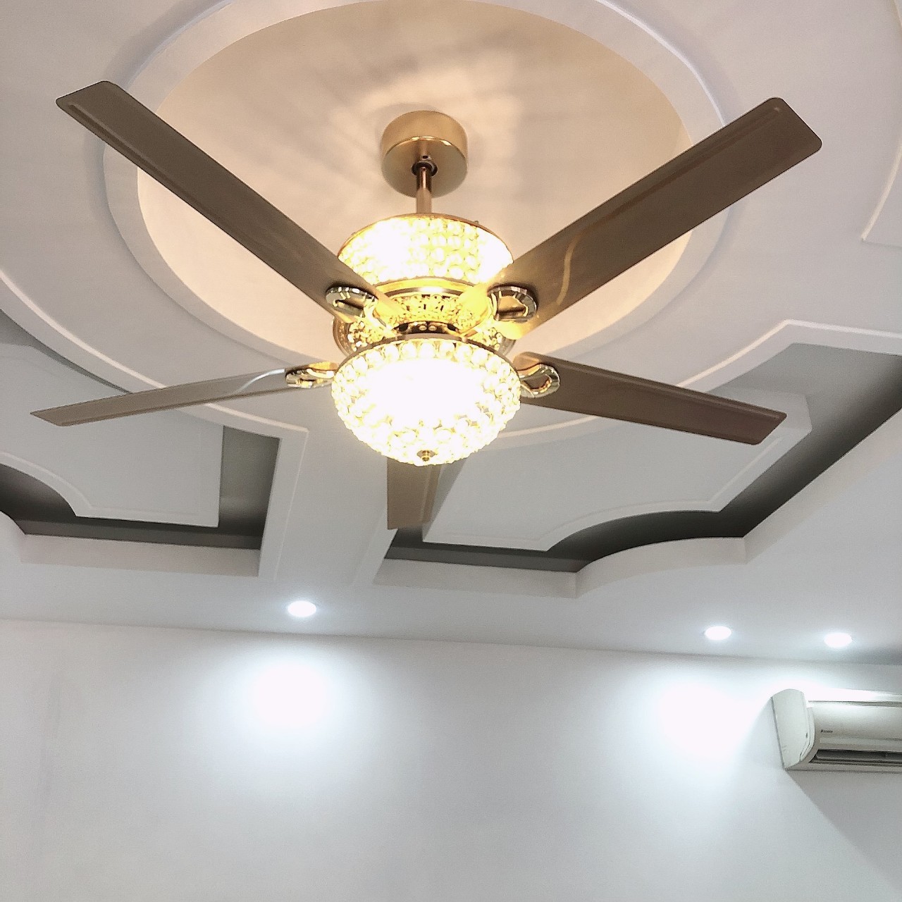 z5262849474918_56b568446cdb719eecb43d6dfe37aedc