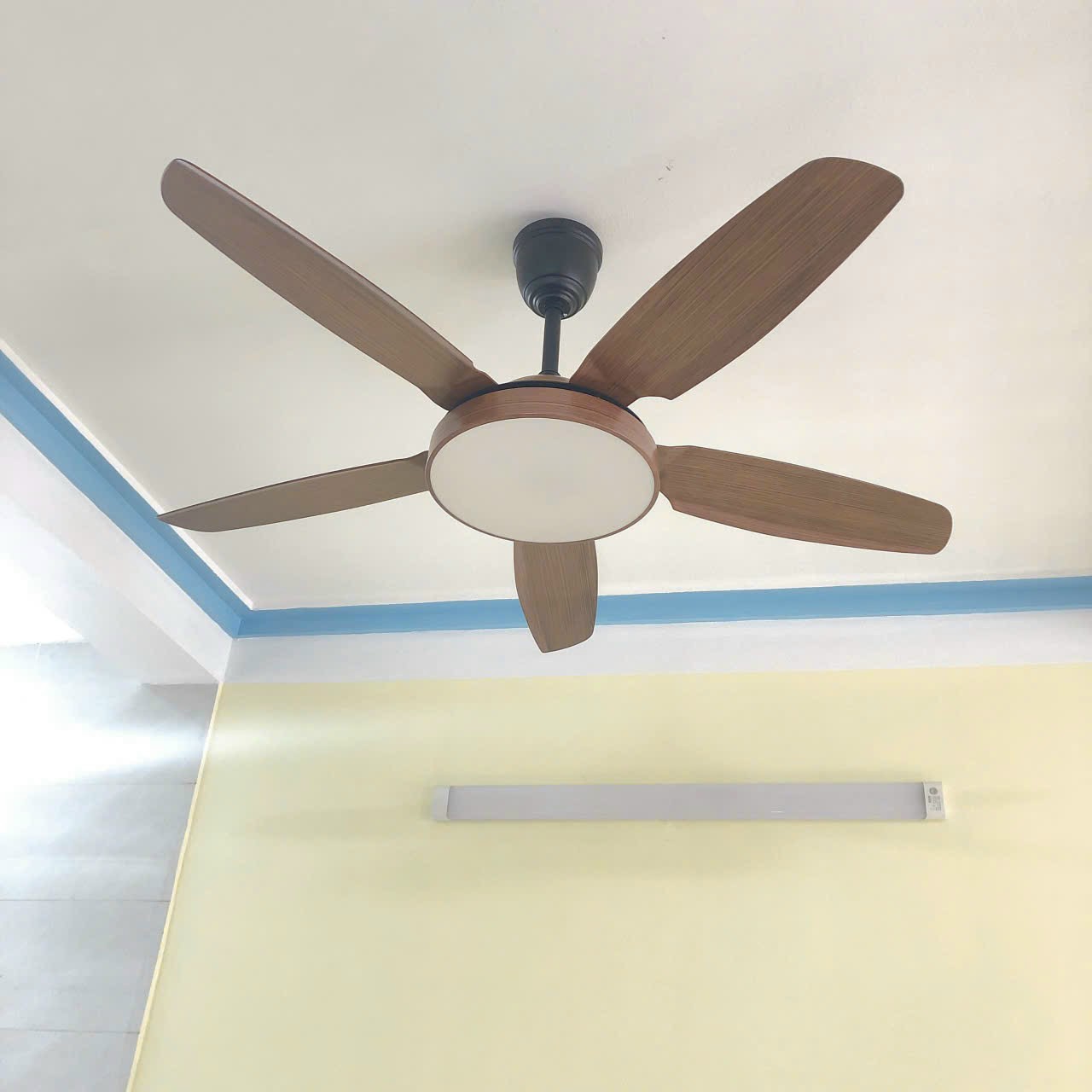 z5262849482292_5cd1d2f46feddf5036cabdffea4477a6