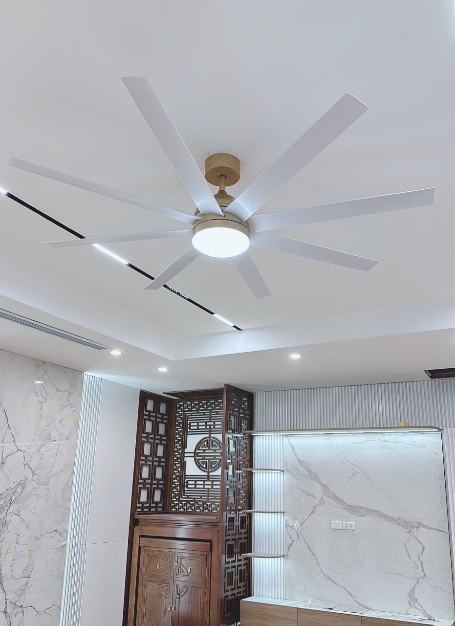 z5262849482419_f1a5dcaf6ab22efd985bf34dfddf7210