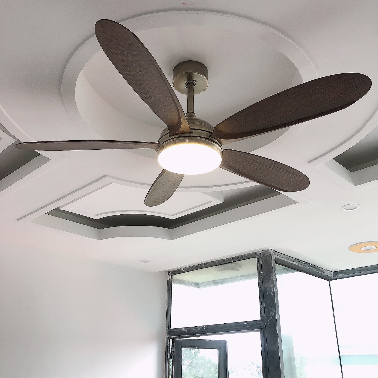 z5262855365136_866153412c1807f0383a8591a327aaf0